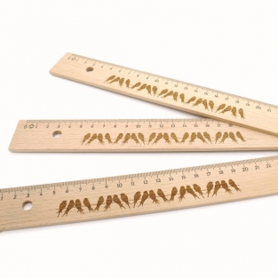 Wooden ruler 30 cm with steel side